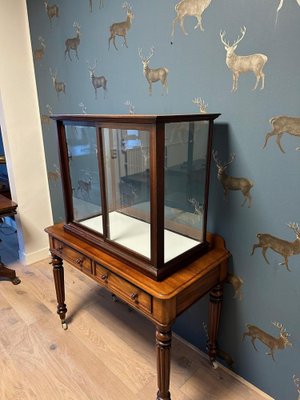 Vintage Display Cabinet in Mahogany-CUP-1791831