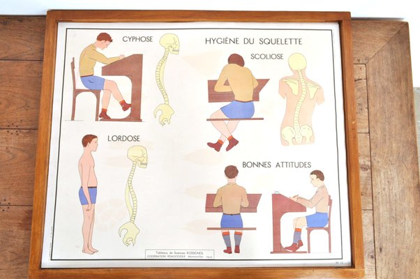 Vintage Double Sided School Posters in Frame of the Human Body, 1950s-AOX-2024623