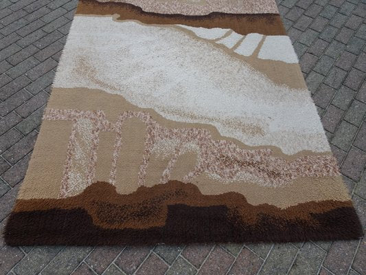 Vintage Dutch Wool Rug Carpet from Desso, 1970s-AWL-1117815