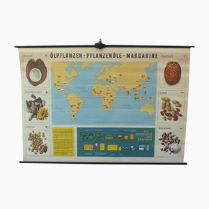 Vintage Educational Plant Chart-WK-1010222