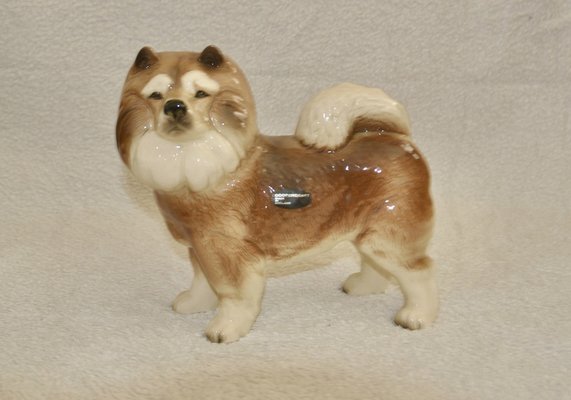 Vintage England Coopercraft Chow Chow Dog Figurine-ROJ-1807082