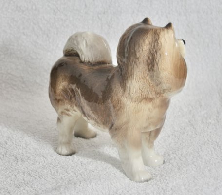 Vintage England Coopercraft Chow Chow Dog Figurine-ROJ-1807082