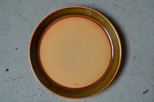 Vintage Esso Stoneware Plates, 1970s, Set of 6-AIU-2036771