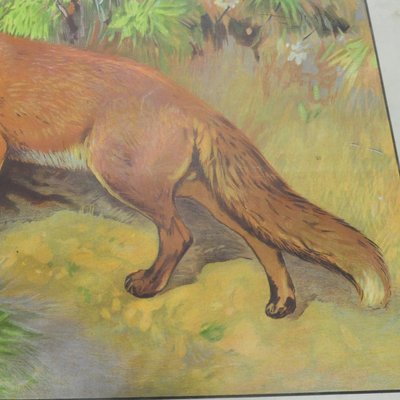 Vintage Fox Mother & Loot Rabbit Poster-KJP-1149323