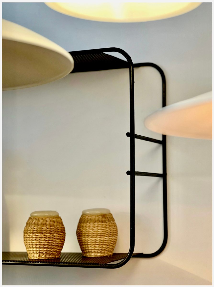 Vintage French Wall-Mounted Shelf by Mathieu Matégot, 1950s