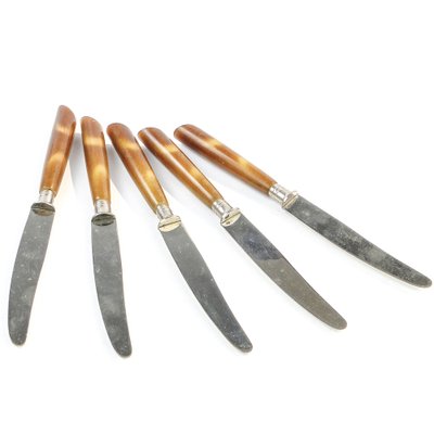 Vintage German Bakelite Knives, 1950s, Set of 5-BKO-1799009