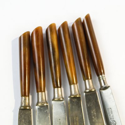 Vintage German Bakelite Knives, 1950s, Set of 6-BKO-1799010