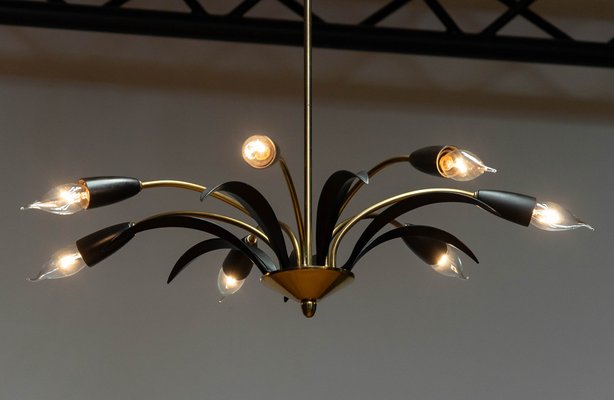 Vintage German Brass and Black Lacquer Spider Chandelier, 1950s-JE-1736809