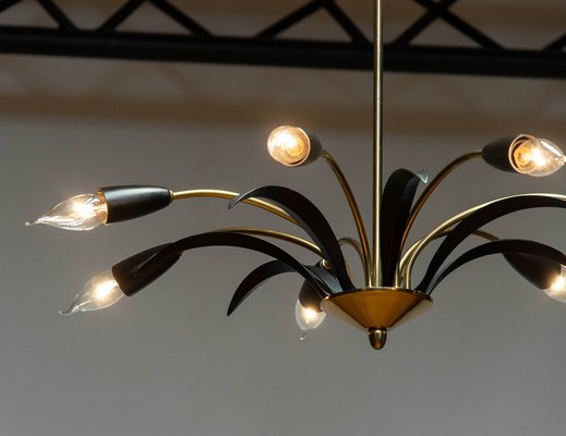 Vintage German Brass and Black Lacquer Spider Chandelier, 1950s-JE-1736809