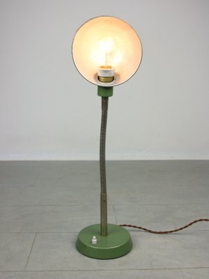 Vintage Green Gooseneck Table Lamp-HGJ-1299521