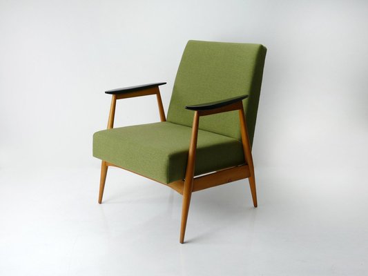 Vintage Green Lounge Chair in Beech, 1960s-HDN-1750302