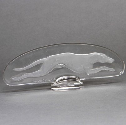 Vintage Greyhound Mascot by René Lalique, 1920s-DNG-704881