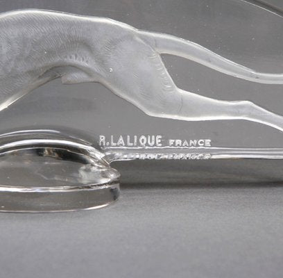 Vintage Greyhound Mascot by René Lalique, 1920s-DNG-704881