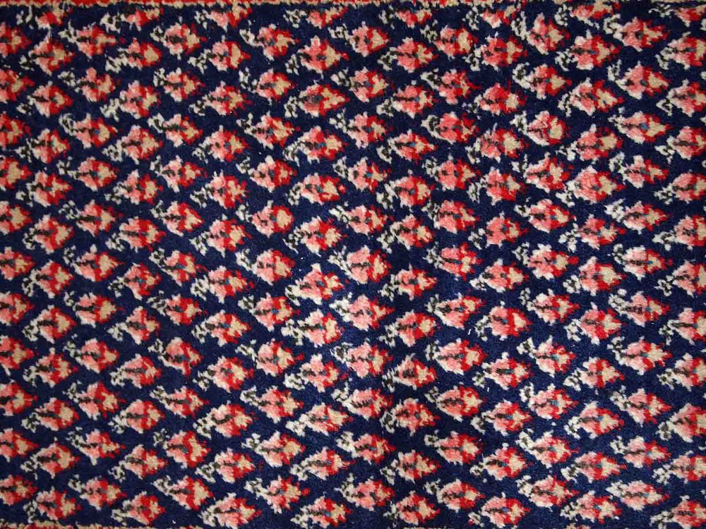 Vintage Indian Saraband Rug, 1970s