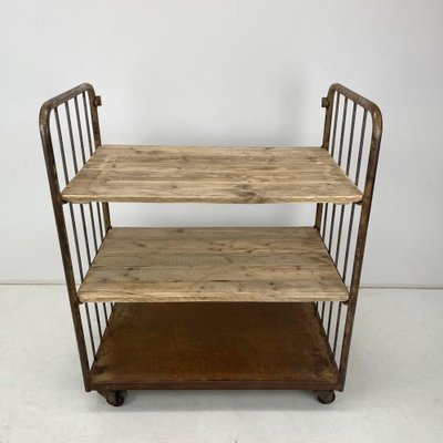 Vintage Industrial Iron and Wood Shelves on Wheels-TZ-1310015