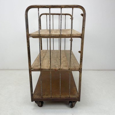 Vintage Industrial Iron and Wood Shelves on Wheels-TZ-1310015