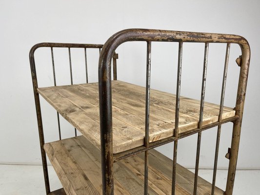 Vintage Industrial Iron and Wood Shelves on Wheels-TZ-1310015