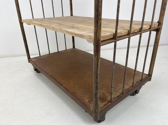 Vintage Industrial Iron and Wood Shelves on Wheels-TZ-1310015