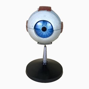 Vintage Italian Anatomical Human Left Eye Model in Plastic from Paravia, 1960s-YNA-773394