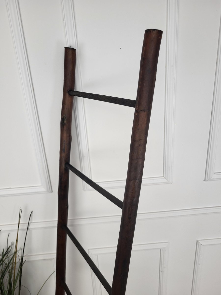 Vintage Italian Rustic Wooden Ladder Stair Step, 1980s