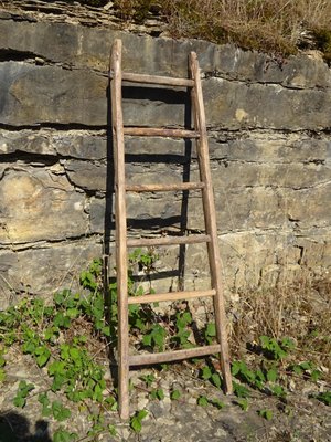 Vintage Ladder in Oak-ABK-2018078