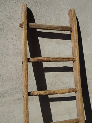 Vintage Ladder in Oak-ABK-2018078