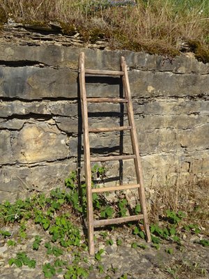 Vintage Ladder in Oak-ABK-2018078