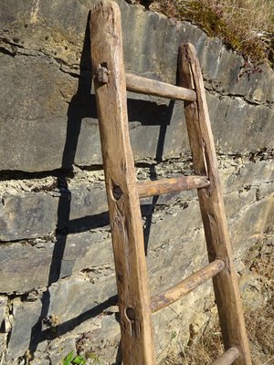 Vintage Ladder in Oak-ABK-2018078