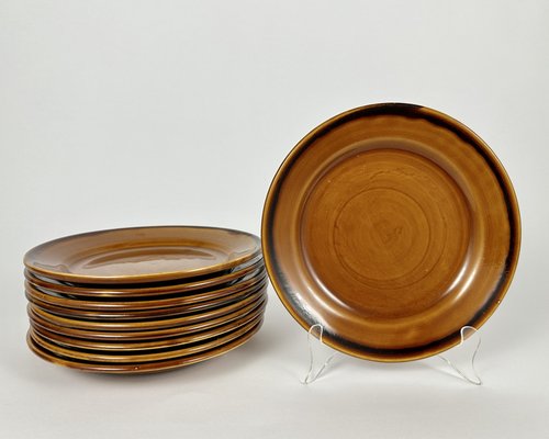 Vintage Large Dishware in Ceramic from Saint Clément, Set of 66-GYX-2041455