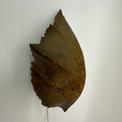 Vintage Leaf Wall Lamp, 1970s-BGP-1721192