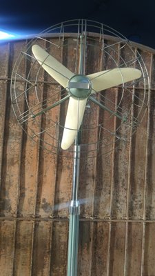 Vintage Marelli Fan, 1930s-NA-1752509