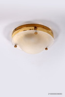 Vintage Matt Glass Ceiling Lamp from Fischer Lights, 1960s-EZZ-1738569