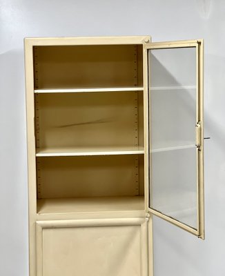 Vintage Medical Cabinet in Iron and Glass, 1950s-ALG-1820188