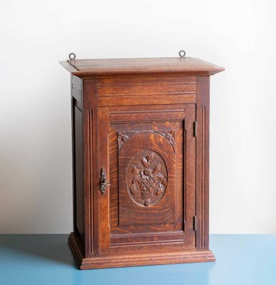 Vintage Medicine Chest with Lock, 1930-BJS-2027037