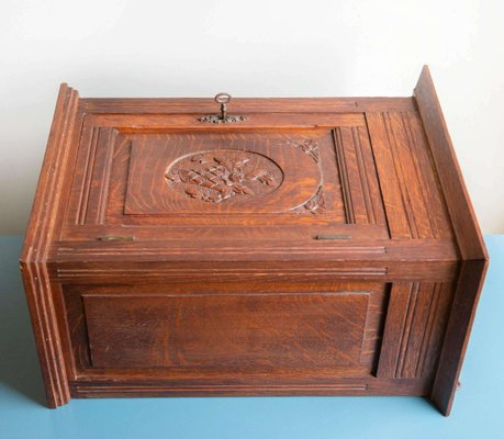 Vintage Medicine Chest with Lock, 1930-BJS-2027037