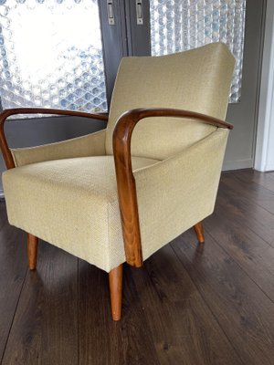 Vintage Mid-Century Modern Easy Chair, 1950s-DE-1263926