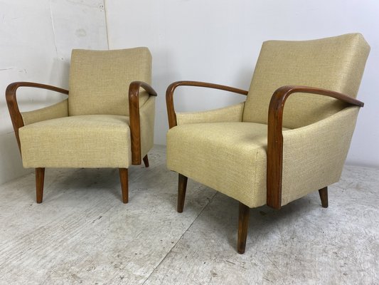 Vintage Mid-Century Modern Easy Chairs, 1950s, Set of 2-DE-1263924