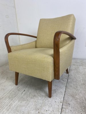 Vintage Mid-Century Modern Easy Chairs, 1950s, Set of 2-DE-1263924