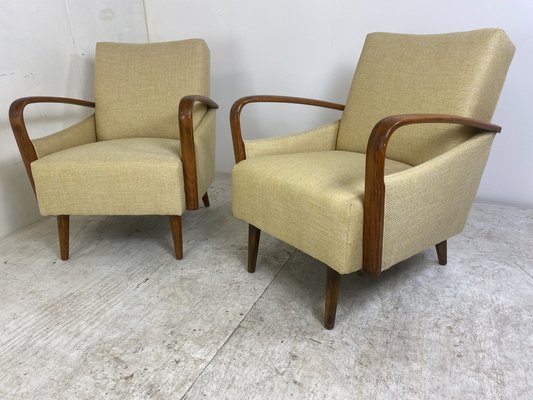 Vintage Mid-Century Modern Easy Chairs, 1950s, Set of 2-DE-1263924