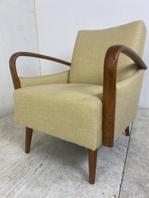 Vintage Mid-Century Modern Easy Chairs, 1950s, Set of 2-DE-1263924