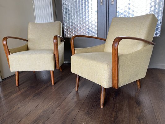 Vintage Mid-Century Modern Easy Chairs, 1950s, Set of 2-DE-1263924