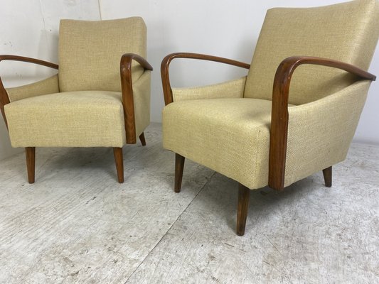 Vintage Mid-Century Modern Easy Chairs, 1950s, Set of 2-DE-1263924