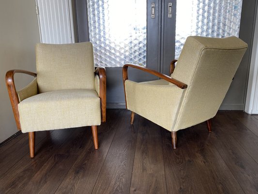 Vintage Mid-Century Modern Easy Chairs, 1950s, Set of 2-DE-1263924