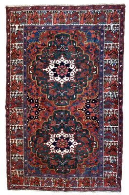 Vintage Middle Eastern Bakhtiari Rug, 1920s-JZV-1187563