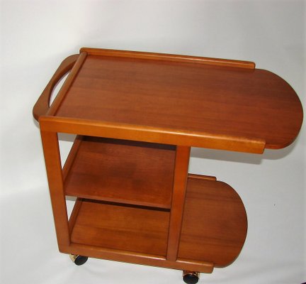 Vintage Mobile Bar in Beech & Teak, 1970s-XHP-1241296