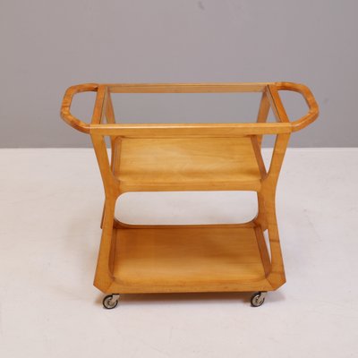 Vintage Mod. 1296 Serving Cart by Felix Kayser-XBF-1334241