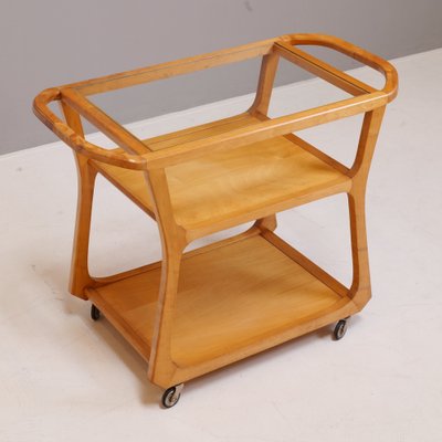 Vintage Mod. 1296 Serving Cart by Felix Kayser-XBF-1334241