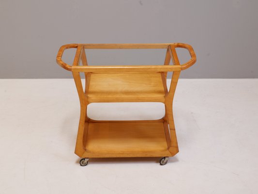 Vintage Mod. 1296 Serving Cart by Felix Kayser-XBF-1334241