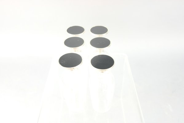 Vintage Model TW 142 Tray by Tapio Wirkkala and Glasses from Rosenthal, Set of 7-CIP-687864