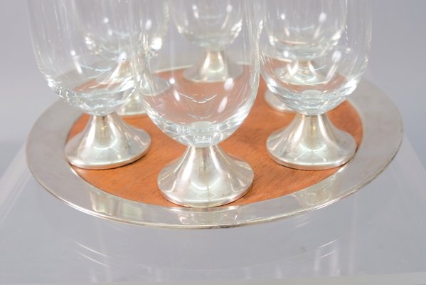 Vintage Model TW 142 Tray by Tapio Wirkkala and Glasses from Rosenthal, Set of 7-CIP-687864